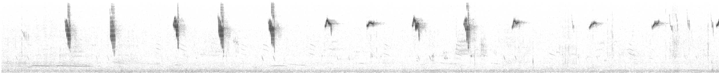 White-winged Fairywren - ML643176737