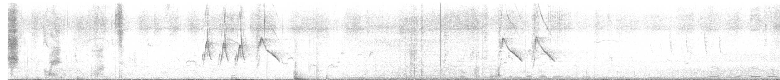 African Pied Wagtail - ML643176923