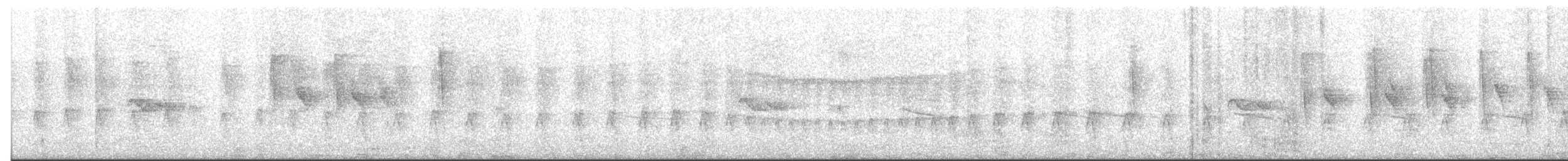 Lesser Woodcreeper - ML643177149