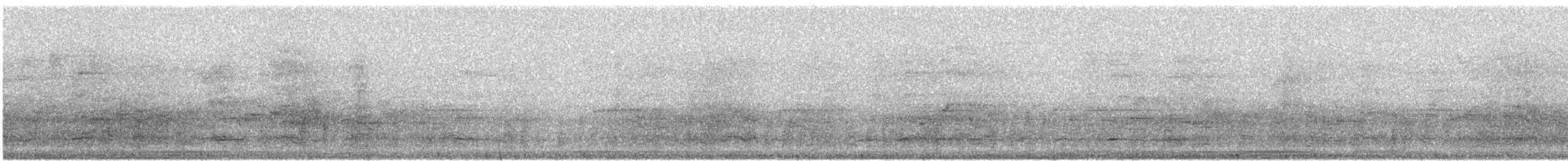 Common Grackle - ML643177171