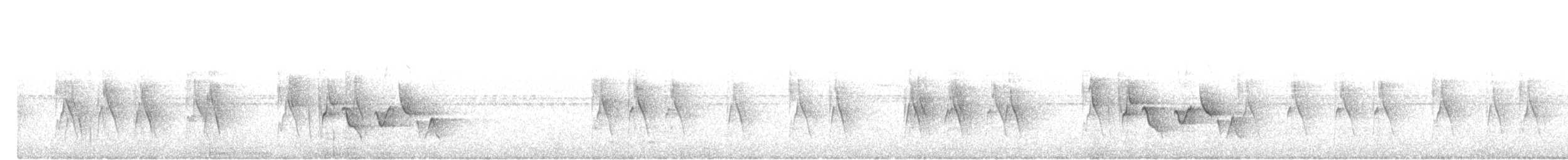 bruntesia - ML643177424