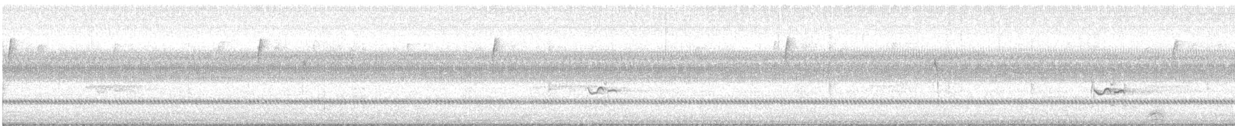 American Golden-Plover - ML643177703