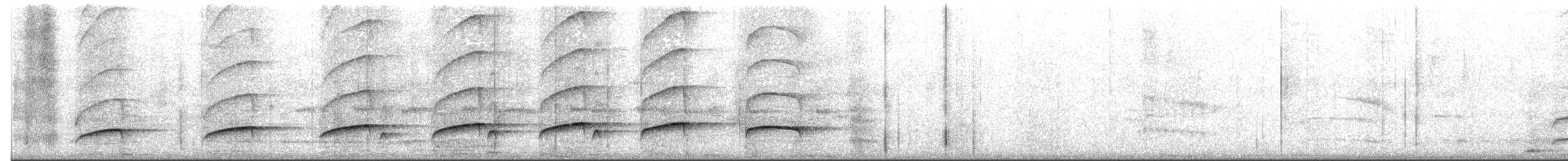 Gray-hooded Attila - ML643177919