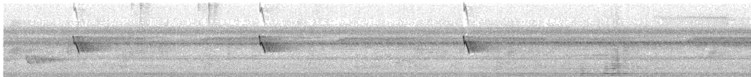 Social Flycatcher - ML643178073