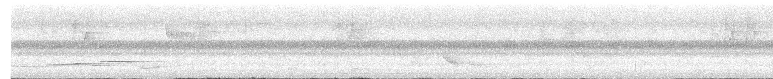 Spot-winged Thrush - ML643179082