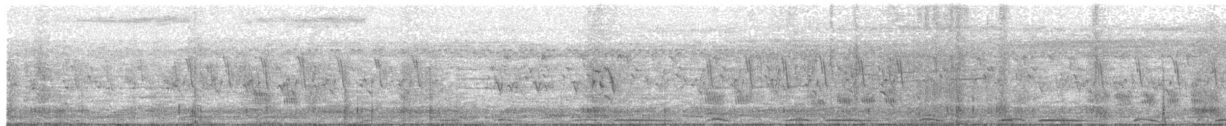 Malabarstar - ML643179228