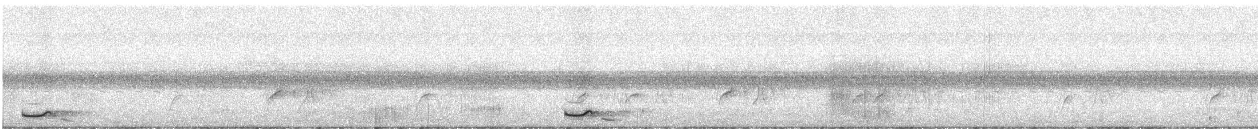 Short-tailed Nighthawk - ML643183548