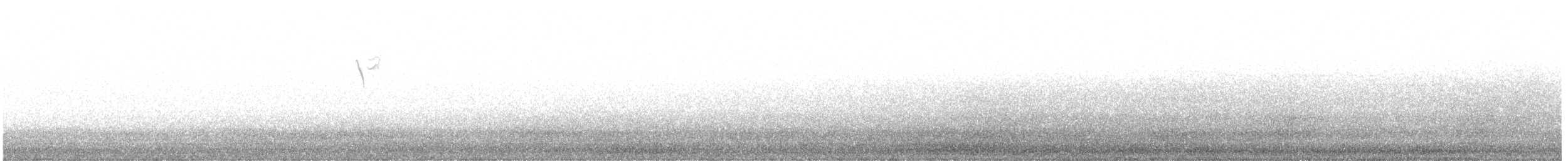 Очковая древесница - ML643186231
