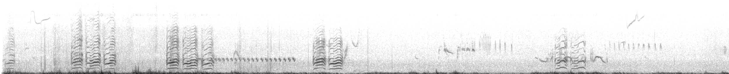 Marbled Godwit - ML643186507