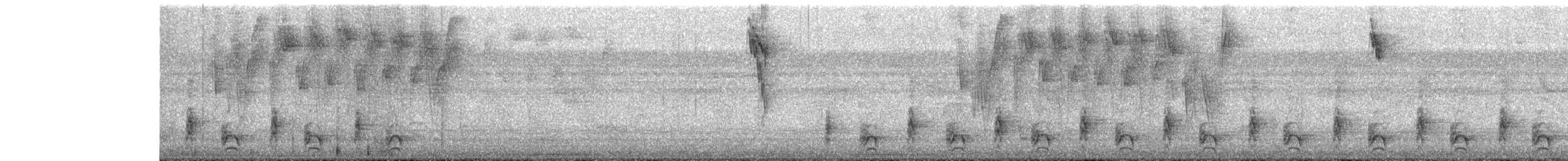 Jet Antbird - ML643189030