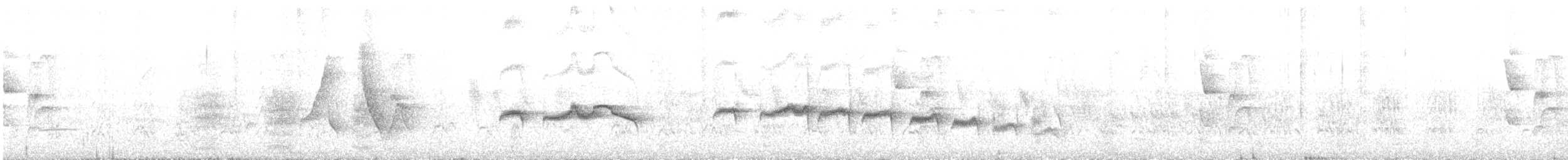 Stripe-backed Antbird - ML643189418