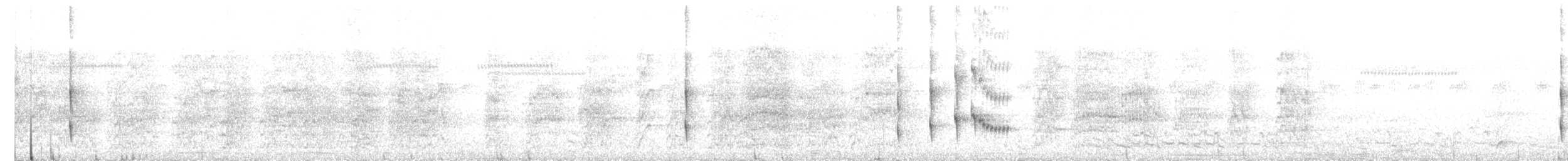 Pearly-vented Tody-Tyrant - ML643189527