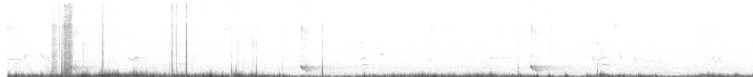 Crested Gallito - ML643189550
