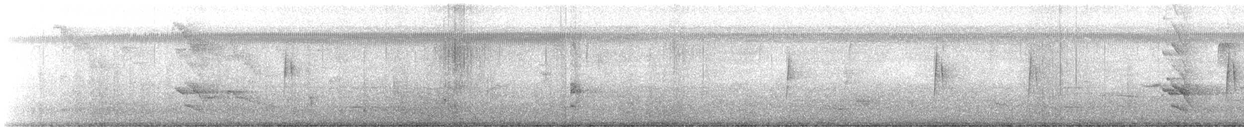 Buchenschnäppertyrann - ML643189805