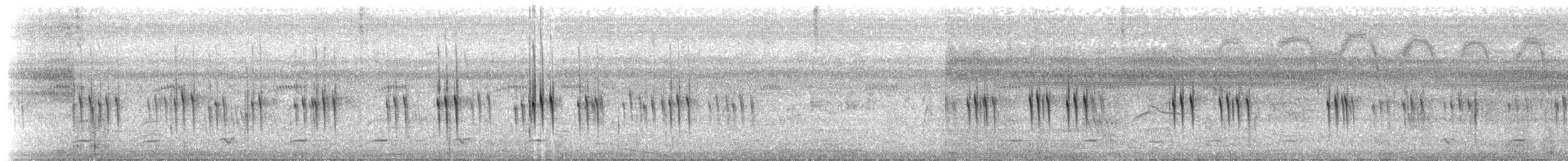 White-banded Swallow - ML643190021