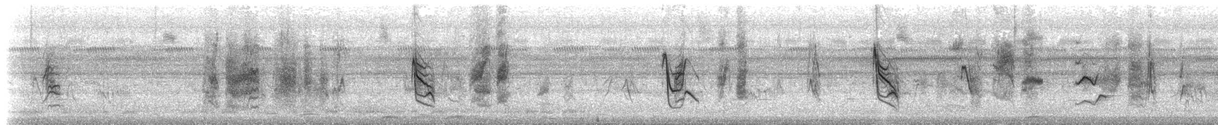 kastanjebukfrøeter - ML643190320