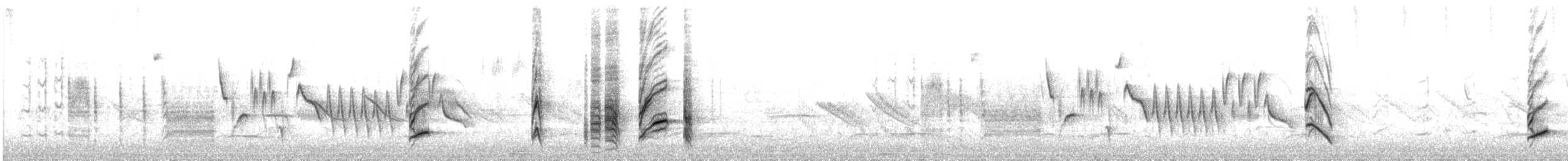 Austral Blackbird - ML643192194
