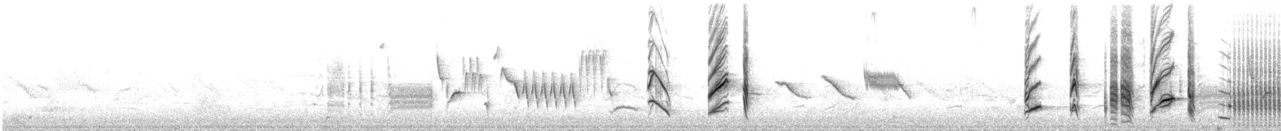Austral Blackbird - ML643192268