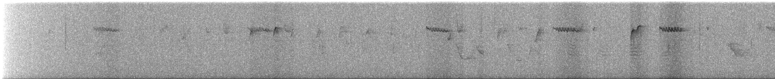 Brown Creeper - ML643192629