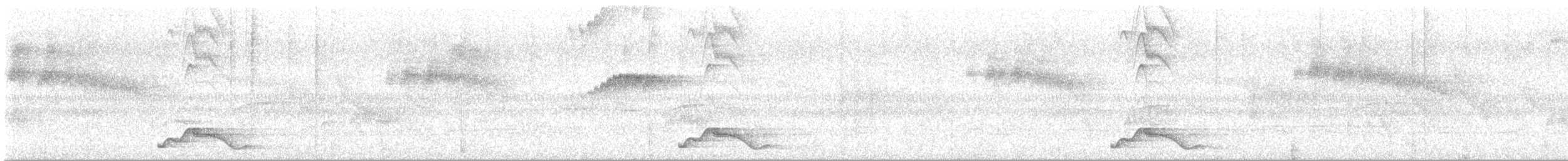 Common Pauraque - ML643194904