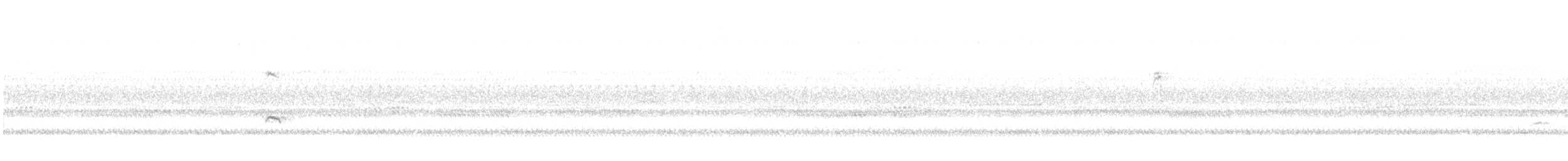 Rose-breasted Grosbeak - ML643194954