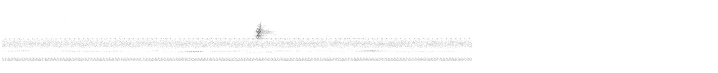 passerine sp. - ML643194986