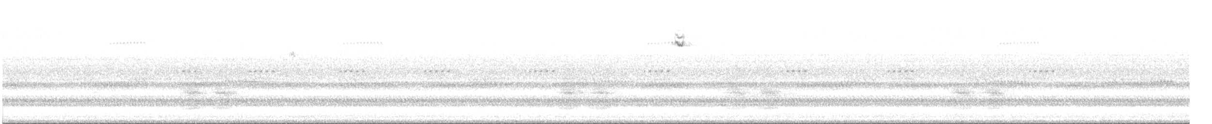 new world sparrow sp. - ML643195134