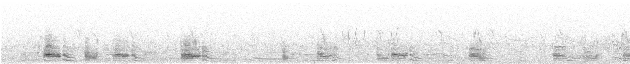 Swan Goose - ML643195350