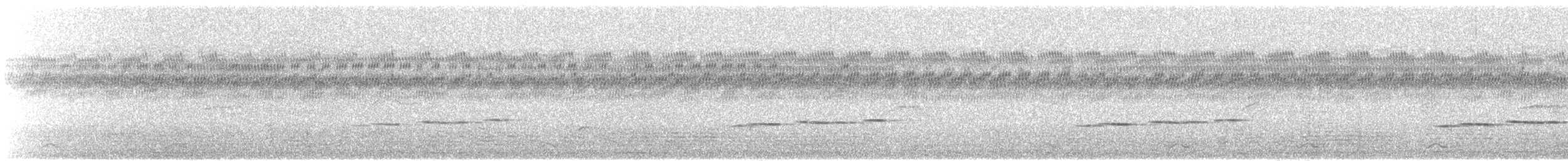 Large Niltava (Large) - ML643195539