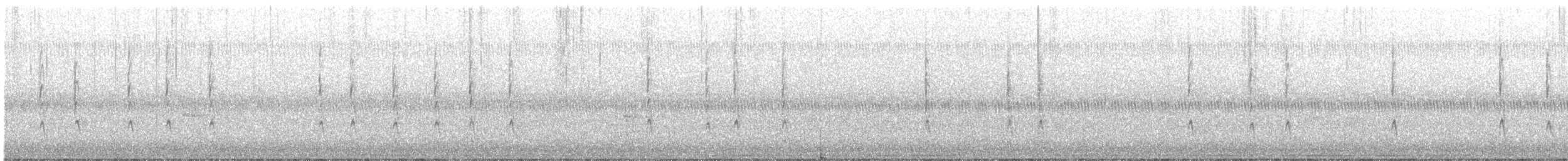 Winter Wren - ML643195996
