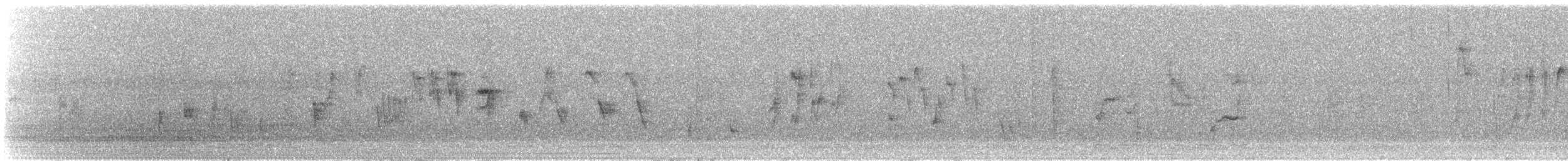 hvitbrynfluesnapper - ML643196325