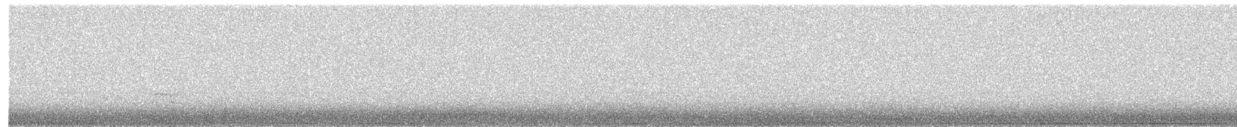 tjeld - ML643197039