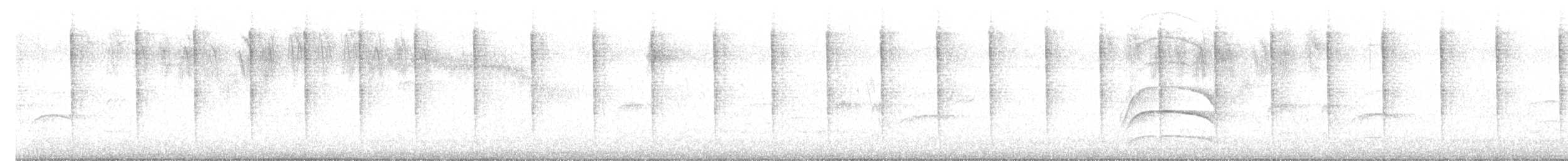 Swallow-tailed Hummingbird - ML643197623