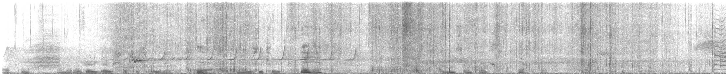 Spotted Quail-thrush - ML643198592