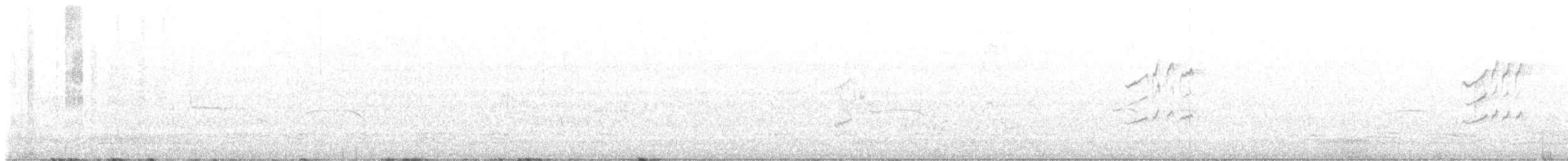 Silvereye - ML643199373