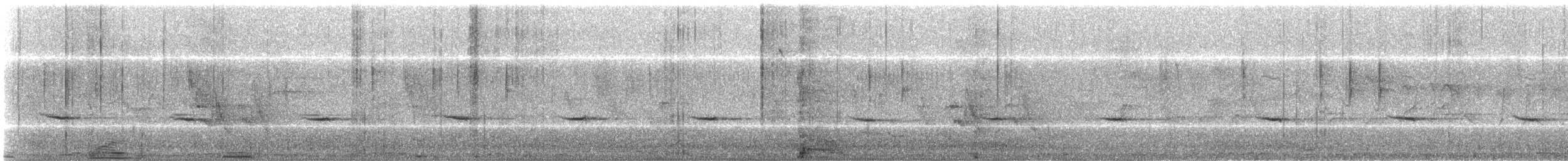 Batis Carinegro Occidental - ML643199790