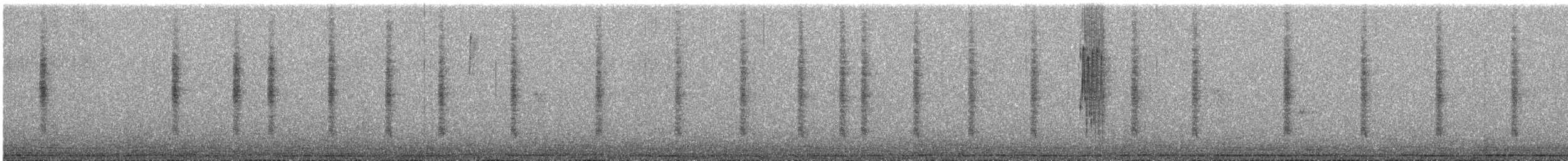Bronze-tailed Comet - ML643200604