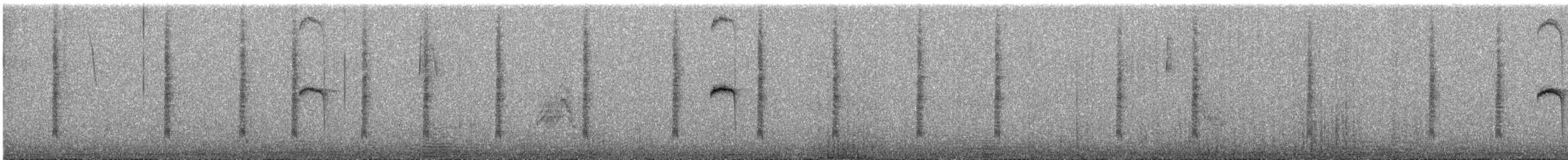 Bronze-tailed Comet - ML643200605