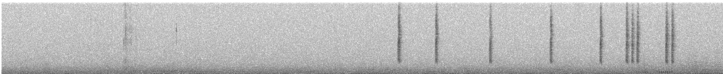 Bronze-tailed Comet - ML643200606