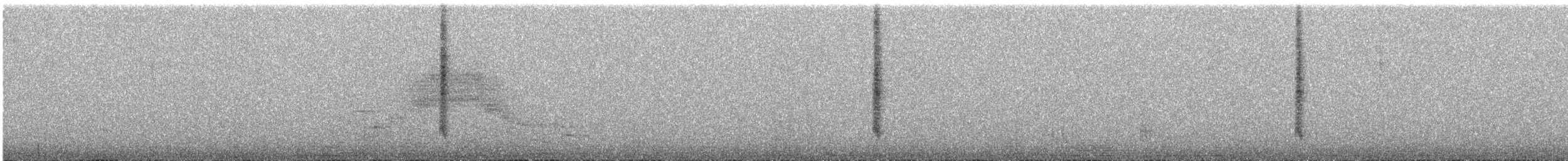 Bronze-tailed Comet - ML643200608
