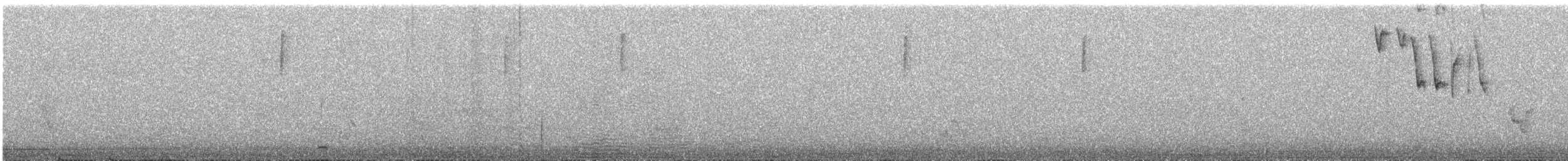 Bronze-tailed Comet - ML643200610