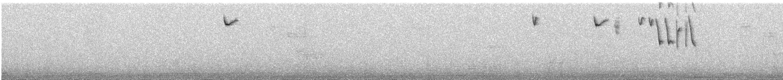 Bronze-tailed Comet - ML643200611