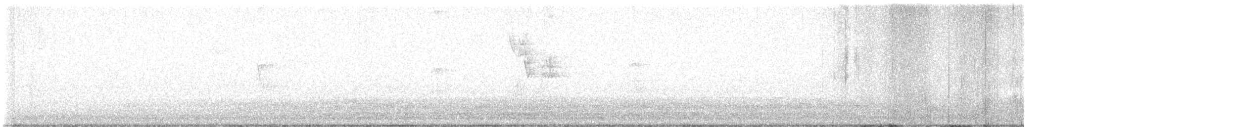 Hairy Woodpecker - ML643201909