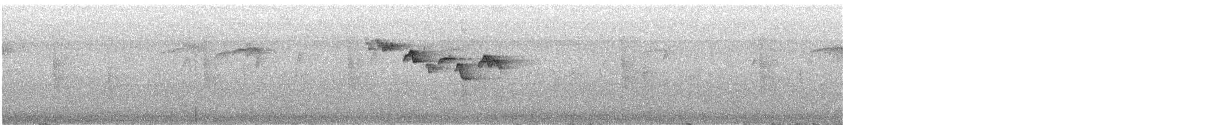 Brown Creeper - ML643203741