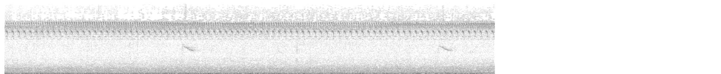 Bicknell's Thrush - ML643204184