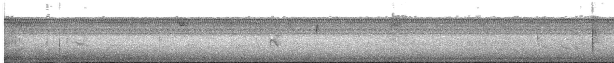 Bicknell's Thrush - ML643204185