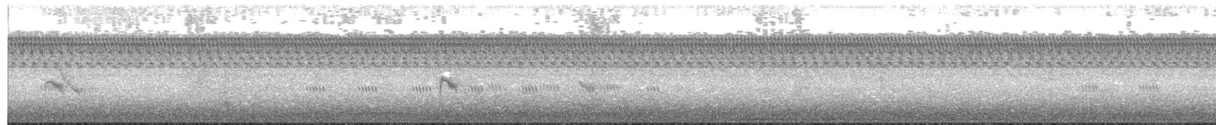 Bicknell's Thrush - ML643204187