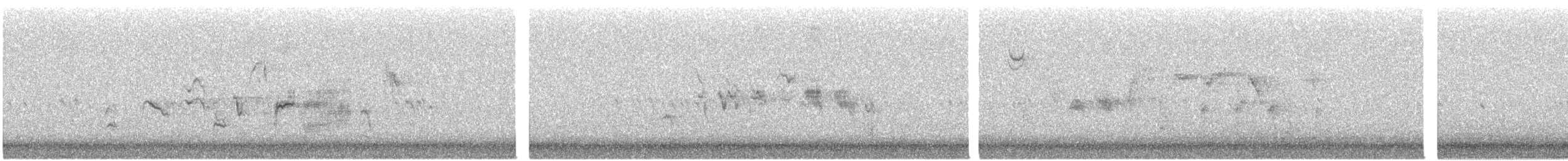 גיבתונית רוננת - ML643205513