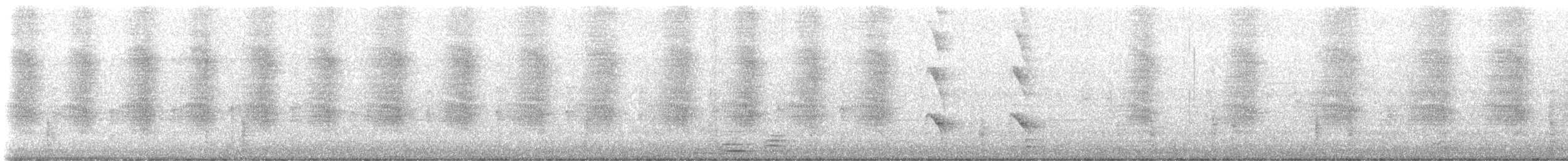 Boat-tailed Grackle - ML643205545