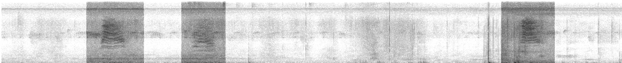 Black-capped Gnatcatcher - ML643213254